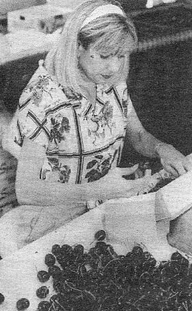 Very Cherry: Deborah Olson wears gold-outlined cherry earrings and a blouse with sketches of the fruit. Photo: Hillary Schalit