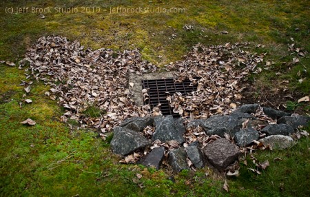 Photo 365 #22 – Heart of Leaves & Stone