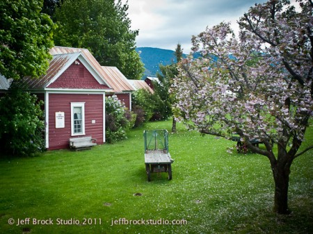 Photo 365 No. 76 – Blossomed