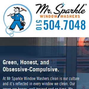 Mr. Sparkle Window Washers